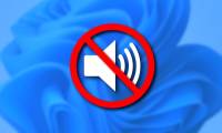 Speaker icon on computer is crossed out Win 11 [Fixed]